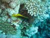 IMG_0023~5.JPG
