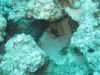 IMG_0032~1.JPG