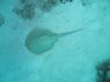 IMG_0042~2.JPG