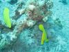 IMG_0046~3.JPG