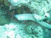 IMG_0073~3.JPG