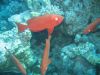 IMG_0081~1.JPG