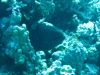 IMG_0586.JPG