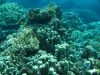 IMG_0627.JPG